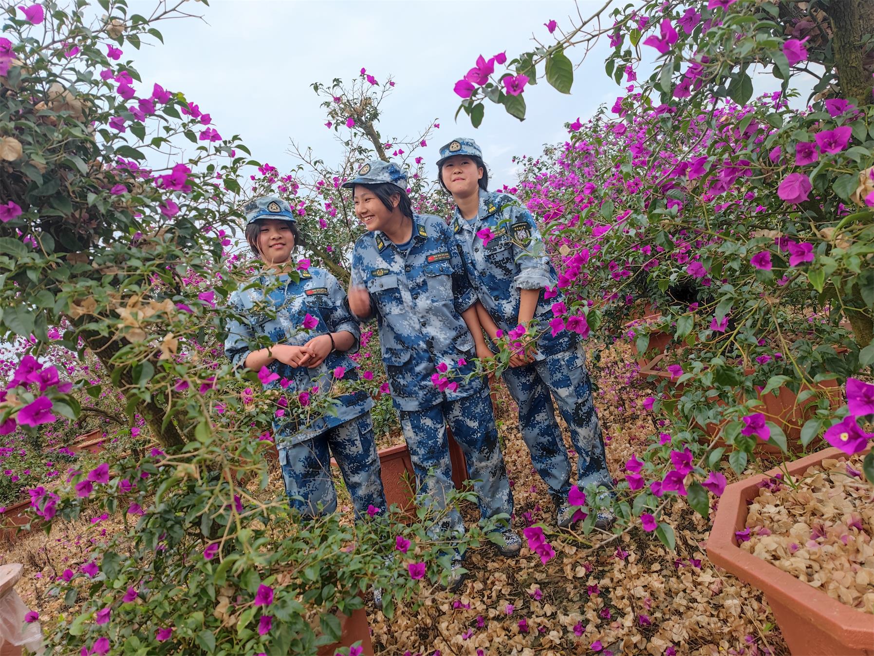 学员风采